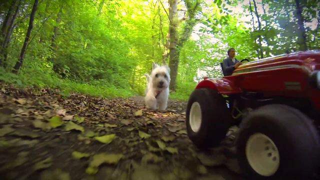 Tamiya TUMBLING BULL on the Farm! смотреть онлайн