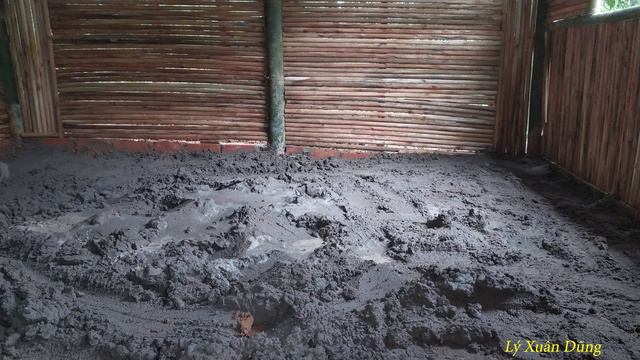 Building A New House, Completing A Solid Cement Foundation, Building A New Life