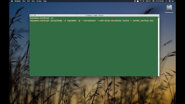 MySQL: Backing up with mysqldump смотреть онлайн
