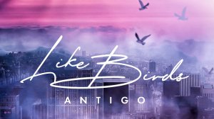 ANTIGO & Александр Дьяченко - Like Birds