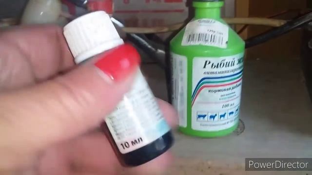 Два Необходимых Препарата для Кур Несушек Весной!//Кровь в Яйцах!!//Жизнь на Кубани. смотреть онлайн