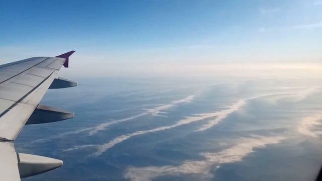 Полет Кишинев -Гамбург 2021 смотреть онлайн