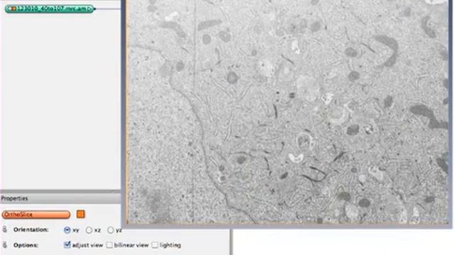 A Practical Guide to the Segmentation of Complex EM 3D-Data смотреть онлайн
