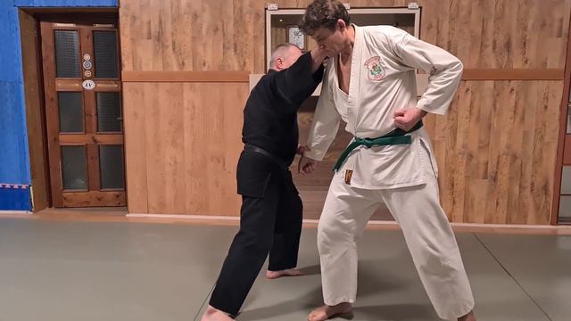 Kanku-Dai Bunkai-kumite Nr. 8 смотреть онлайн