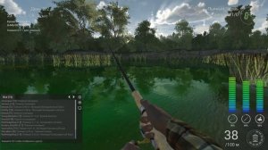 Fishing Planet : Рыба-леприкон!