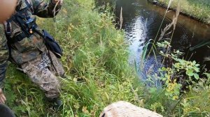 Хариус на микроджиг.