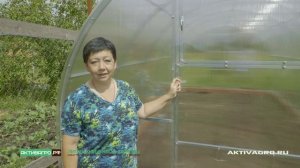 Отзыв покупателя о теплице «Ударница Царицынская»