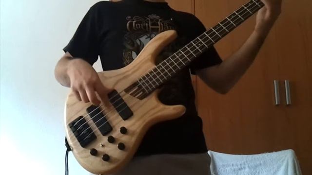 Beck - Spice of Life Bass Cover смотреть онлайн