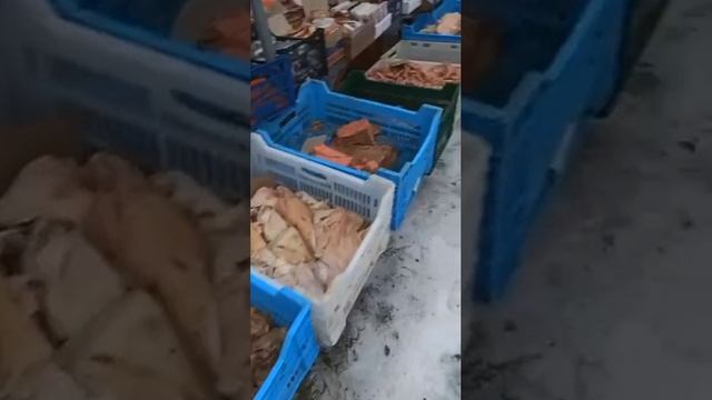 ?⚡️?Старики на Украине вынуждены питаться просроченными мясопродуктами❗️ смотреть онлайн