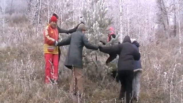 В лесу родилась ёлочка! смотреть онлайн
