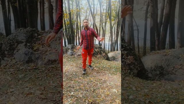 #trendingreals,??#viral#che cheya afsar aay myani dilbara ho #yawarwani@yawarwani#officialnasir833 смотреть онлайн