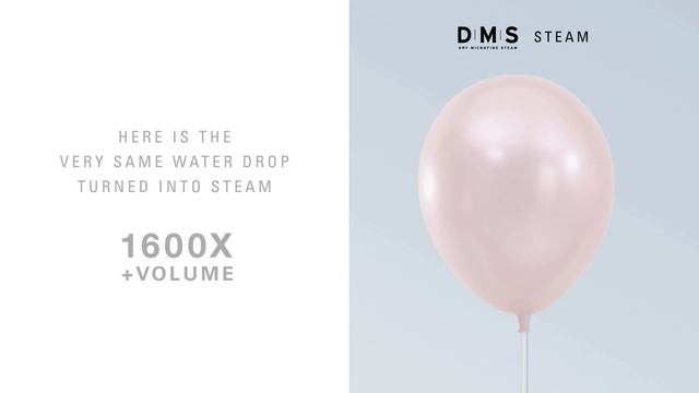 Laurastar Dry Microfine Steam (DMS) has bigger volume смотреть онлайн
