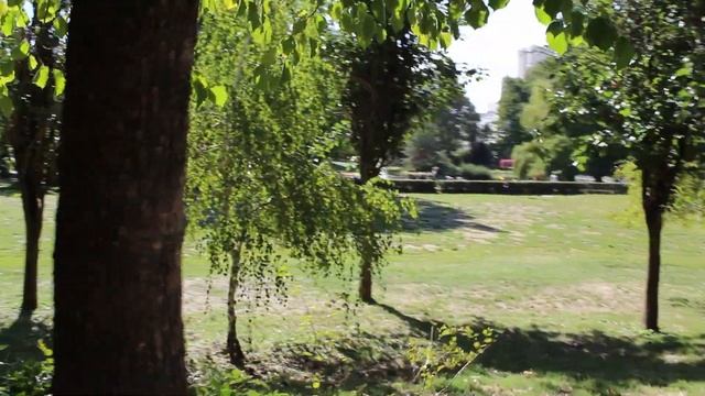 Canon EOS 600D | video test смотреть онлайн