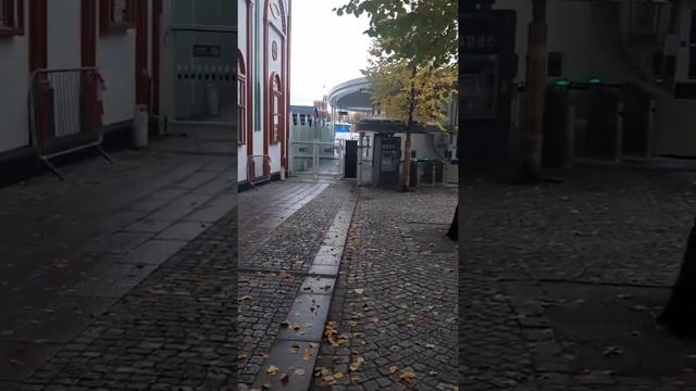 Прогулка по Скансену и Грёна Люнду в Стокгольме. смотреть онлайн