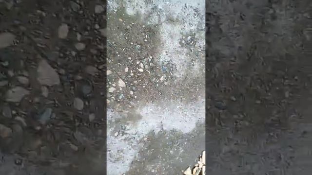 Катаюсь на вэйборде ! Двух колёсная доска смотреть онлайн