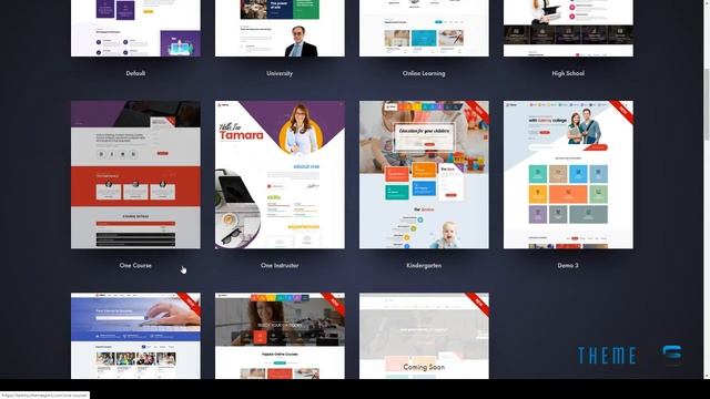 Talemy - LMS Education WordPress Theme смотреть онлайн