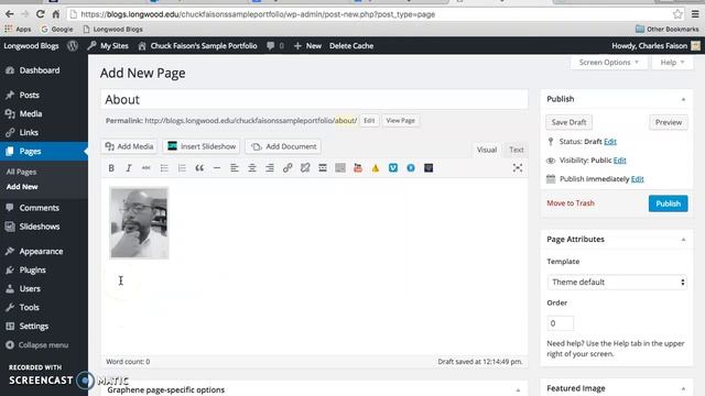 Quick Start to WordPress E-Portfolio смотреть онлайн