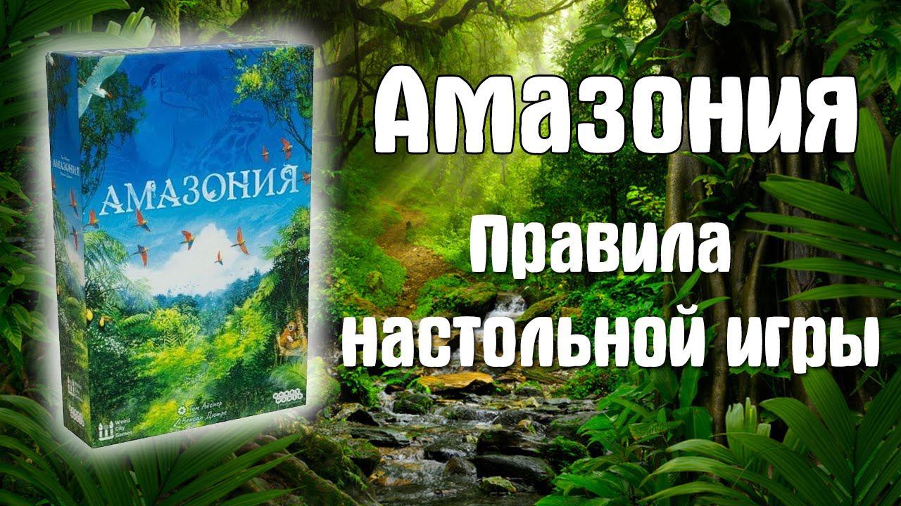 Амазония Правила настольной игры смотреть онлайн