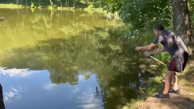 Донная ловля сазана Эпизод 6: Сазан 8.0 кг / Fishing a carp on a bottom rod Episode 6: Carp 8.0 kg смотреть онлайн