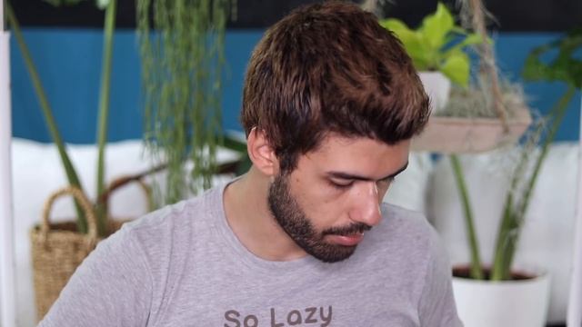 Hoya Linearis - Houseplant Exposé