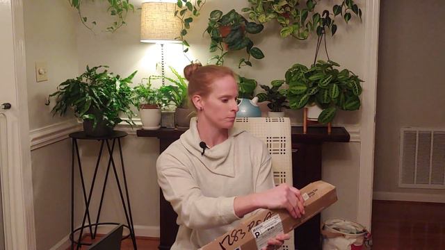 Facebook Marketplace Unboxing | Sansevieria Sayuri