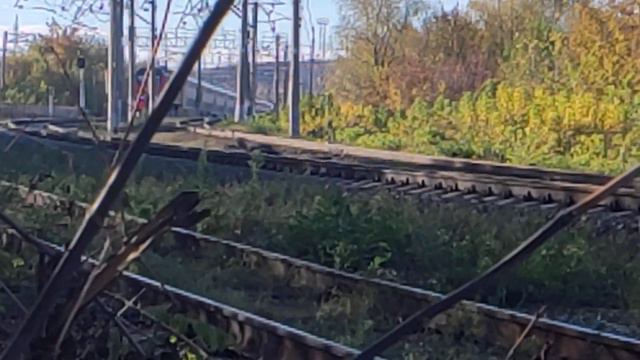 ЭП2К-332 С Скорым Поездом 66 Москва-Тольятти смотреть онлайн