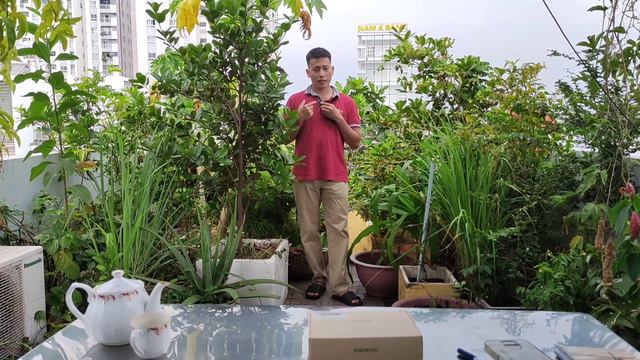 Review so sánh chất lượng thu âm Mic Không Dây XIAOKOA với của Mic Boya M1 смотреть онлайн