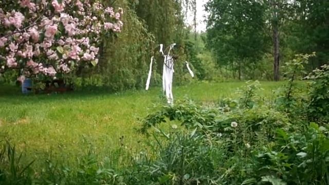 ribbon wheel смотреть онлайн