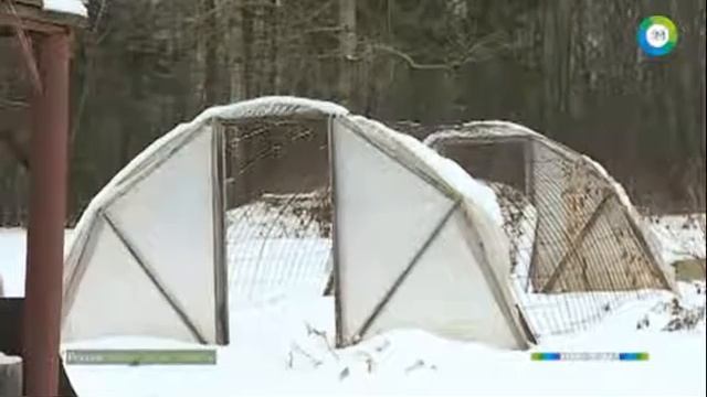 Одна деревня для двоих Как пенсионеры Нечаевы стали помещиками смотреть онлайн