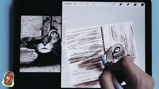 Как нарисовать Кота в программе Procreate смотреть онлайн