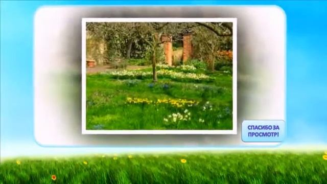 Сады, парки, природа 2 смотреть онлайн