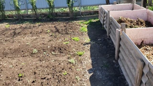 Текущие работы с клубникой и червем смотреть онлайн