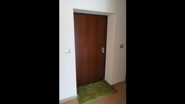 agava viskovo смотреть онлайн