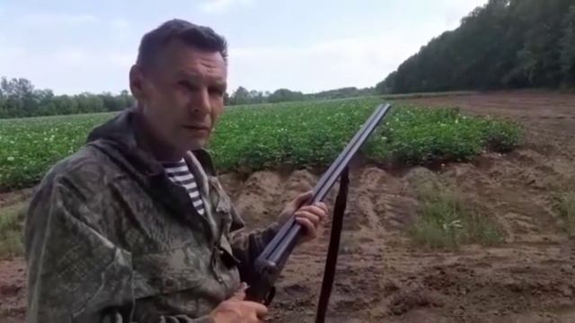 Ружье Зауэр 16 калибр 1946 год.