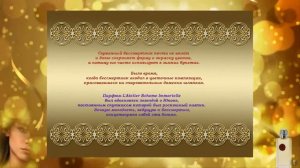 Элегантный бессмертник   цветок для Оксаны