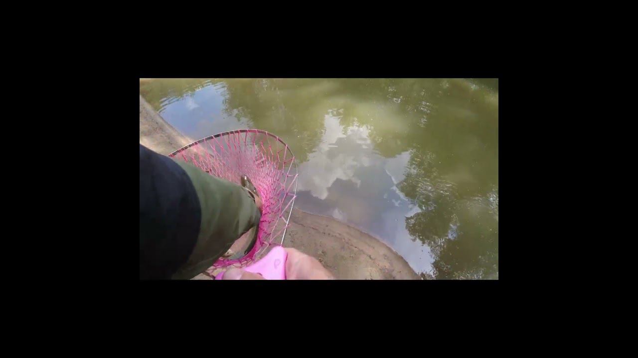 #мормышинг | Микроречка | Щука схватила окуня | смотреть онлайн