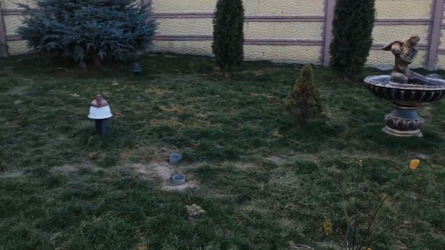 Славянск. 4 декабря 2022 года. 8:00. смотреть онлайн