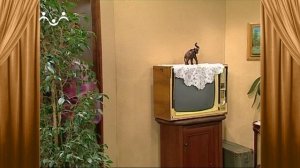 Сказки и Истории. Изобретатель. Любовь к природе