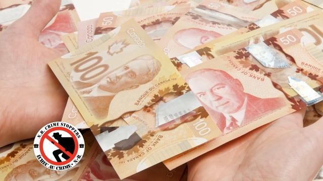 Crime of the Week: Ponzi Schemes смотреть онлайн