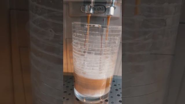 Delonghi ECAM 22.110 SB generalüberholt смотреть онлайн