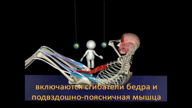тренировка пресса - abs training смотреть онлайн