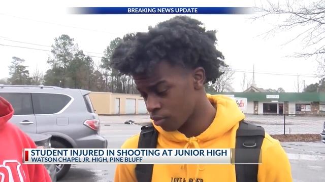 Students and family react to Watson Chapel junior high shooting смотреть онлайн