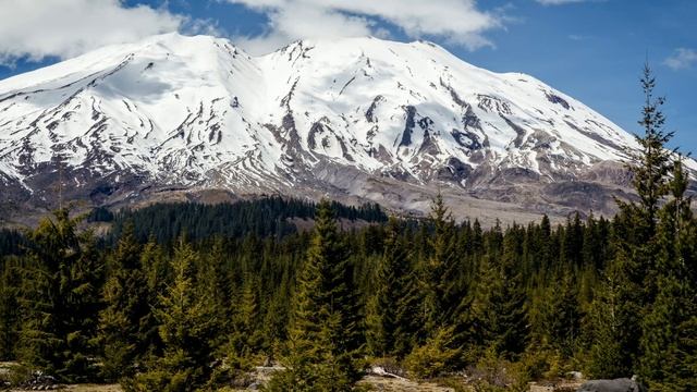 Tony O'Connor. Freedom смотреть онлайн
