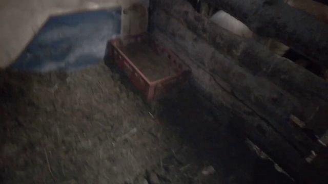 СВИНОМАТКУ НЕ СУПОРОСНАЯ, НАШ НАДЗЕМНЫЙ ПОГРЕБ, КАК ЧУВСТВУЕТ СЕБЯ КОРТОШКА ПРИ - 6.ГР. смотреть онлайн