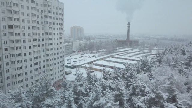 (4К) Островецкий лес, декабрь 2018 смотреть онлайн