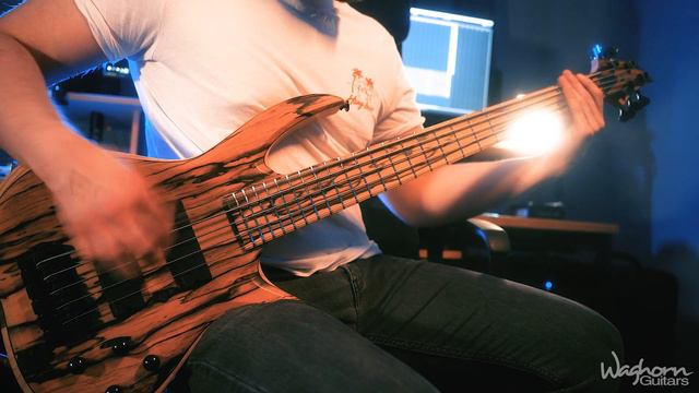 Waghorn Artists Chris Ryan (Party Cannon) смотреть онлайн