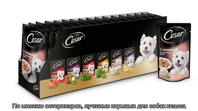 Консервы для собак и щенков: какие они бывают смотреть онлайн