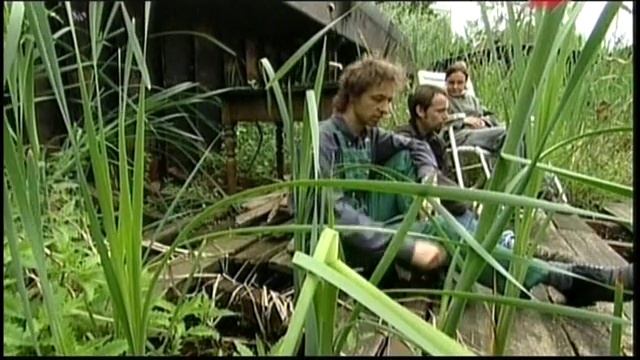 Садовое искусство 21 века №4 смотреть онлайн