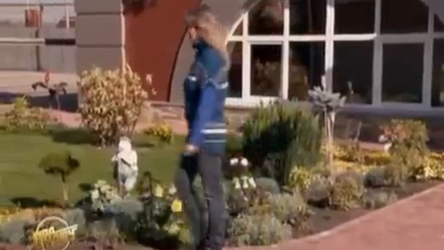 Зонирование сада "Ивушка" Ландшафтный дизайн. Питомник. Курсы смотреть онлайн