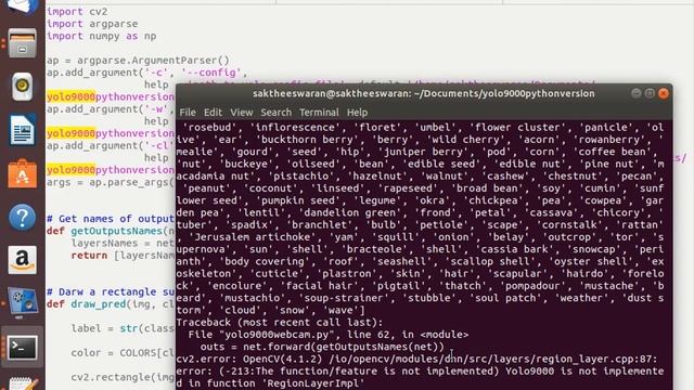 yolo v3 easy method for custom object detection using python opencv just 100 lines code in linux смотреть онлайн